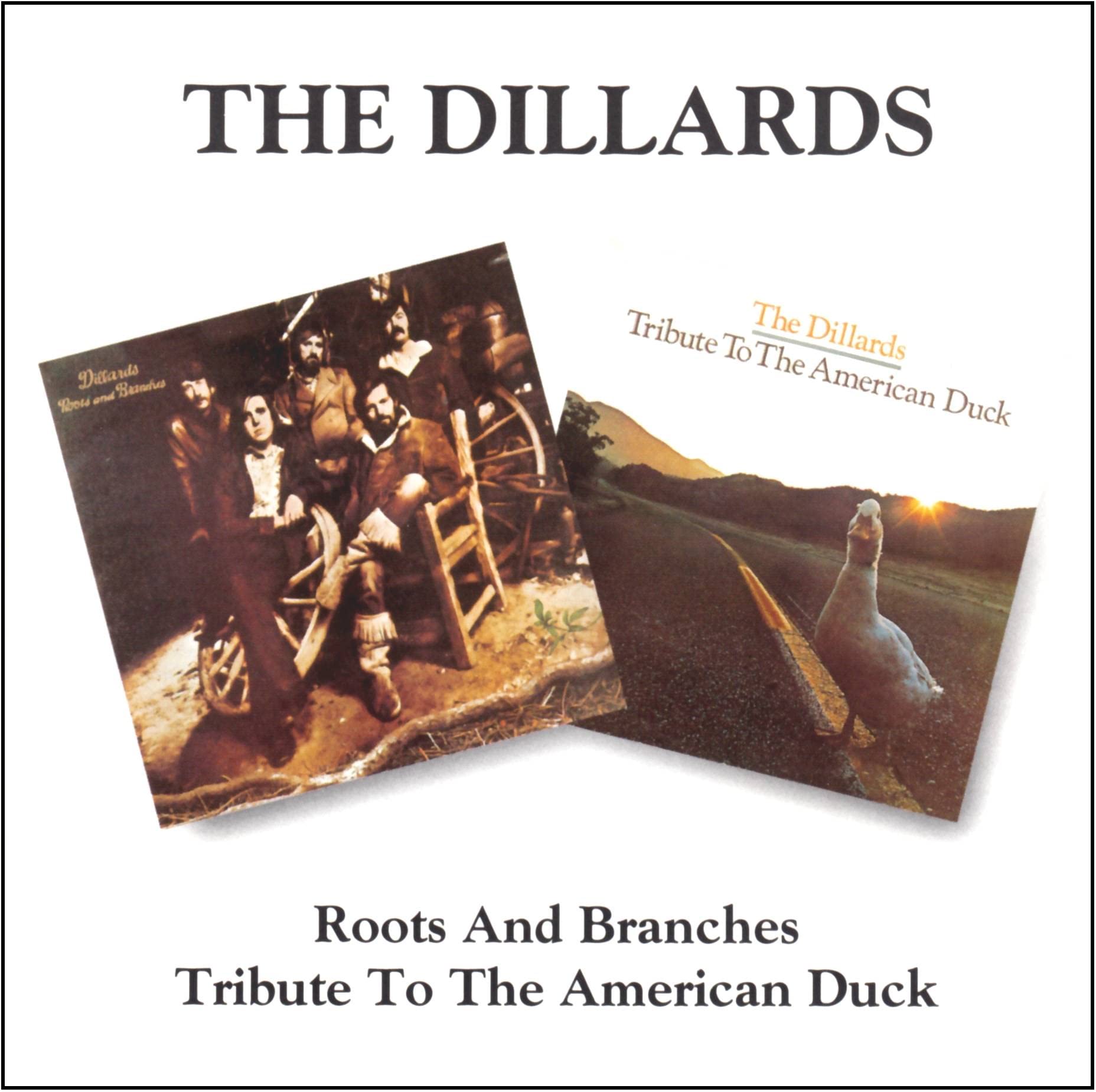 Tribute to the American Duck Pop