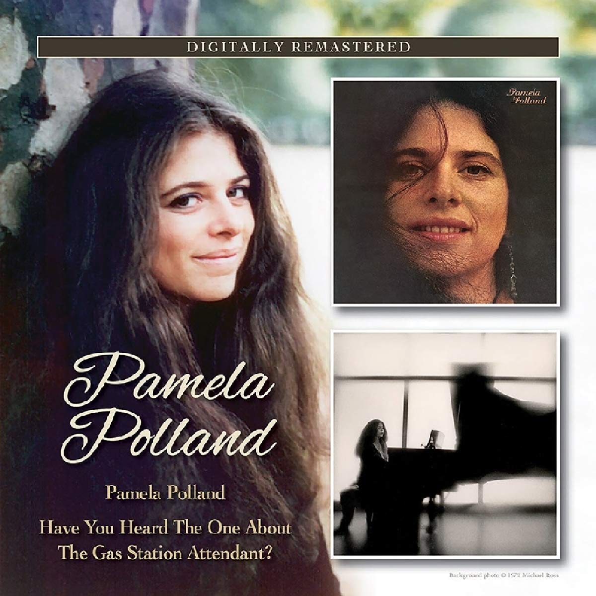 Pamela Polland/Have You Heard The One About The Pop