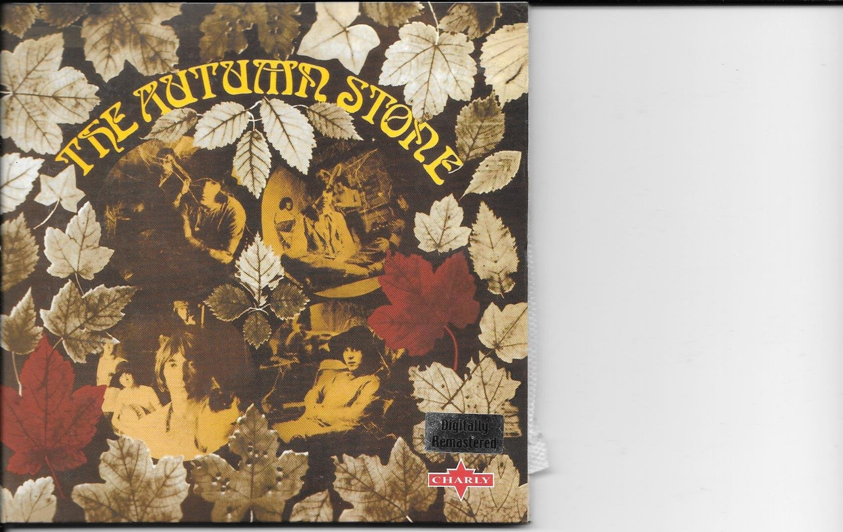 The Autumn Stone Rock