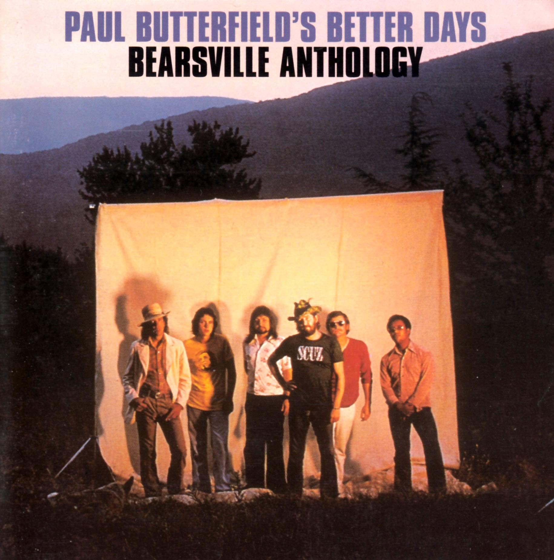 Bearsville Anthology Blues