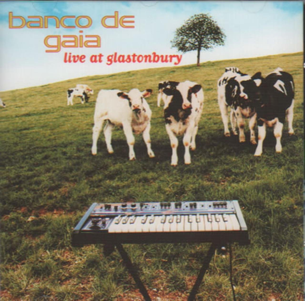 Product Image: Live at Glastonbury