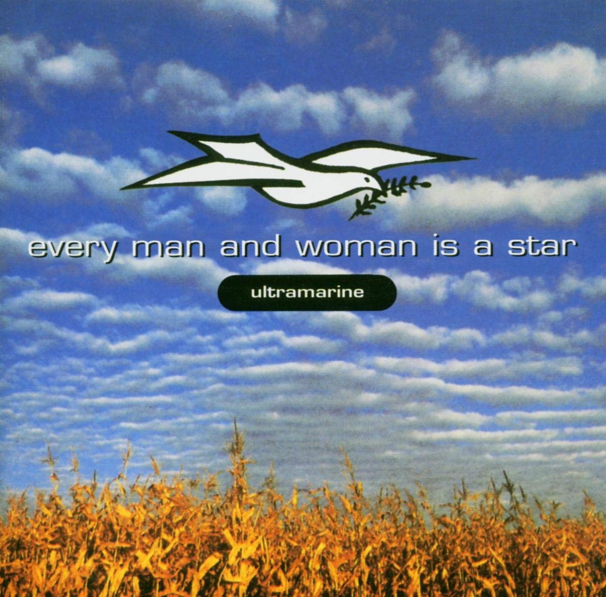 Every Man & Woman Is a Star Dance & Electronic