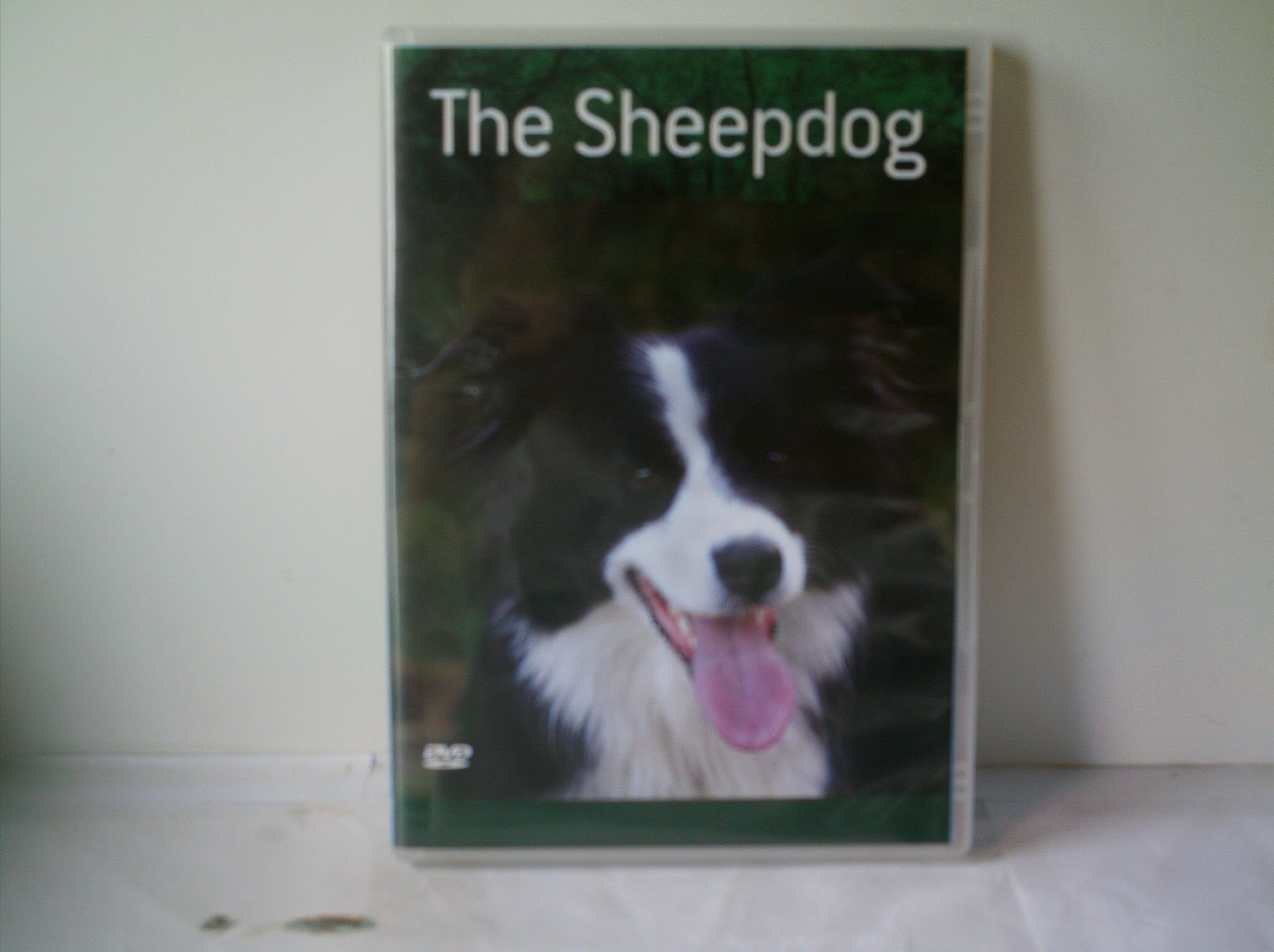 Product Image: Country Life - The Sheep Dog