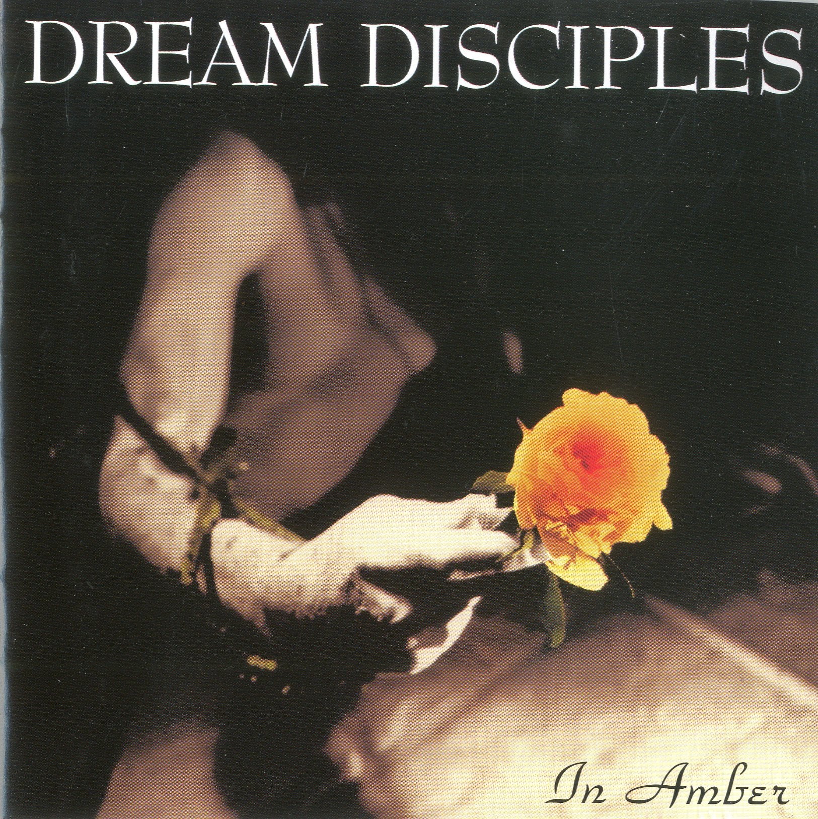 In Amber Alternative & Indie