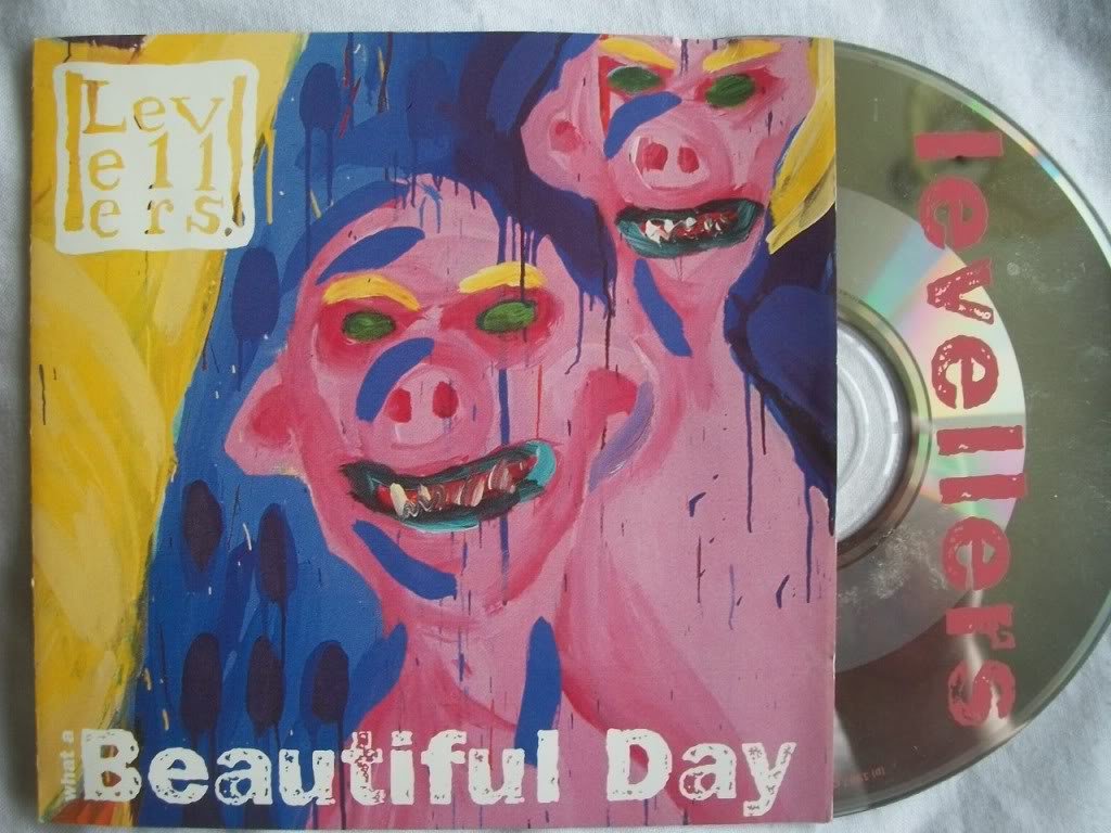 Product Image: What a Beautiful Day
