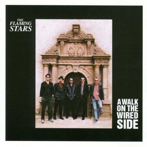 Product Image: A Walk on the Wired Side