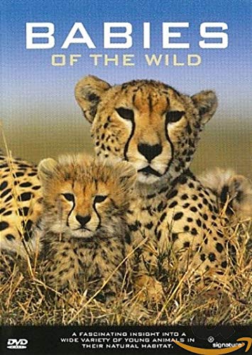 Babies of the wild Films