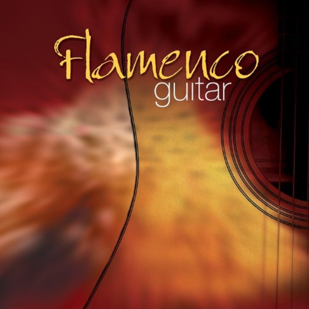 Flamenco Guitar Other music genres