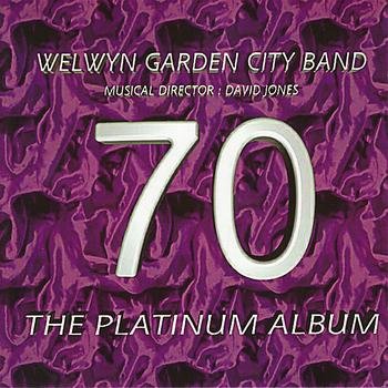 The Platinum Album Pop