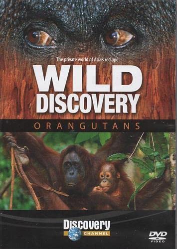 Orangutans Films
