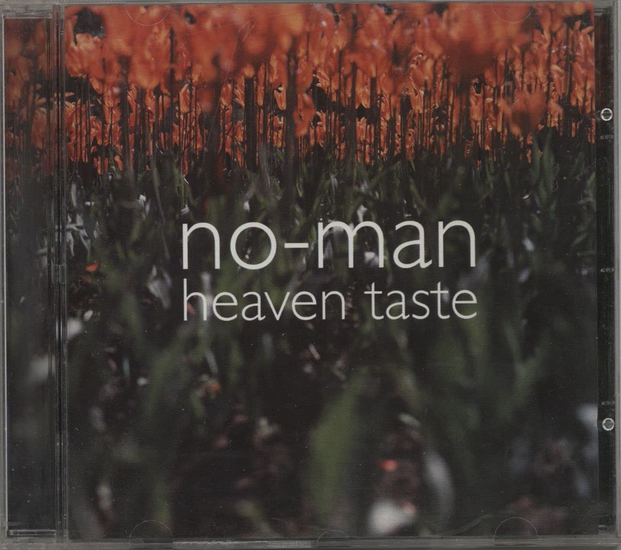 Heaven Taste Alternative & Indie