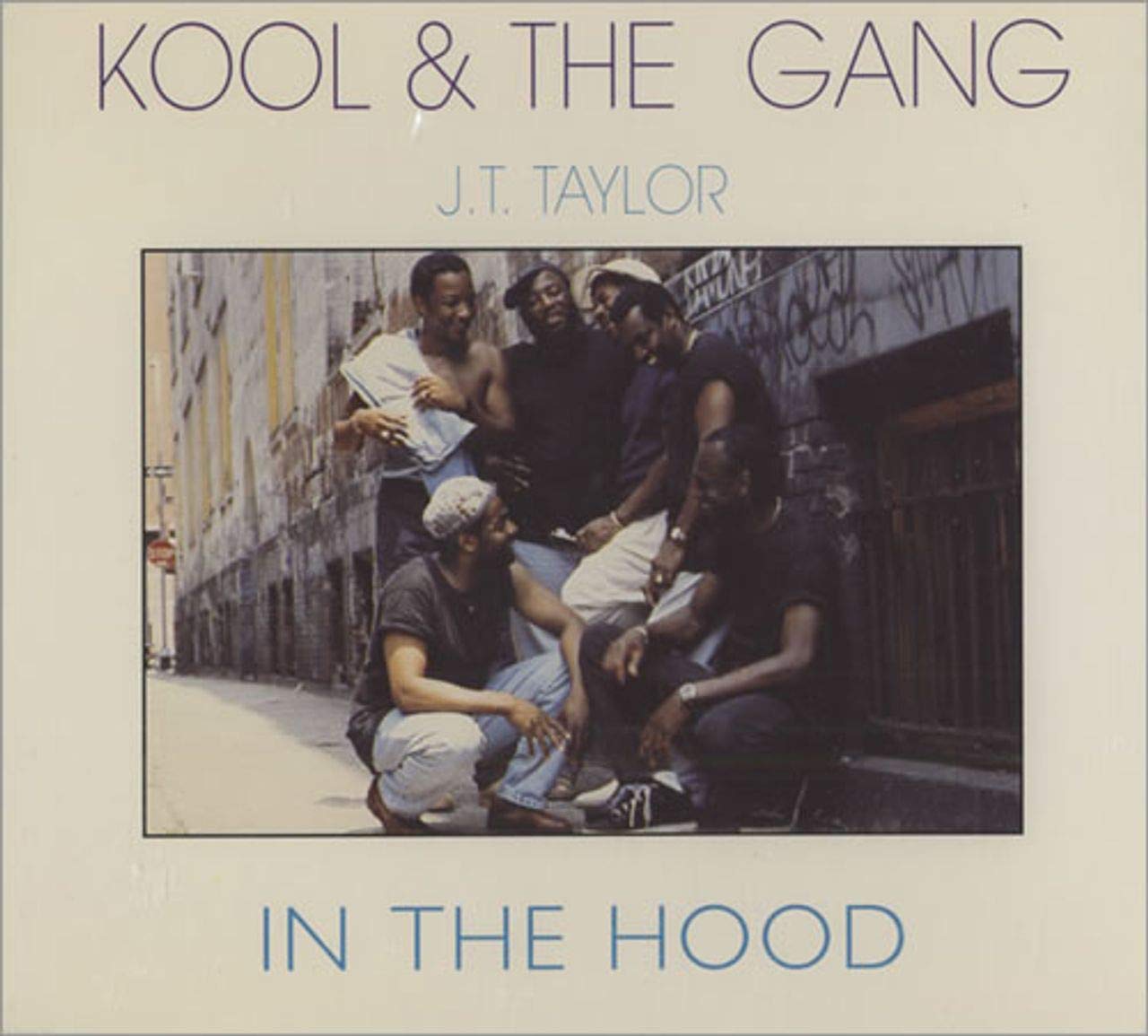 In the Hood Feat J T Taylor (UK Import) Funk, R&B & Soul