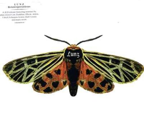 Lunz Reinterpretations Rock
