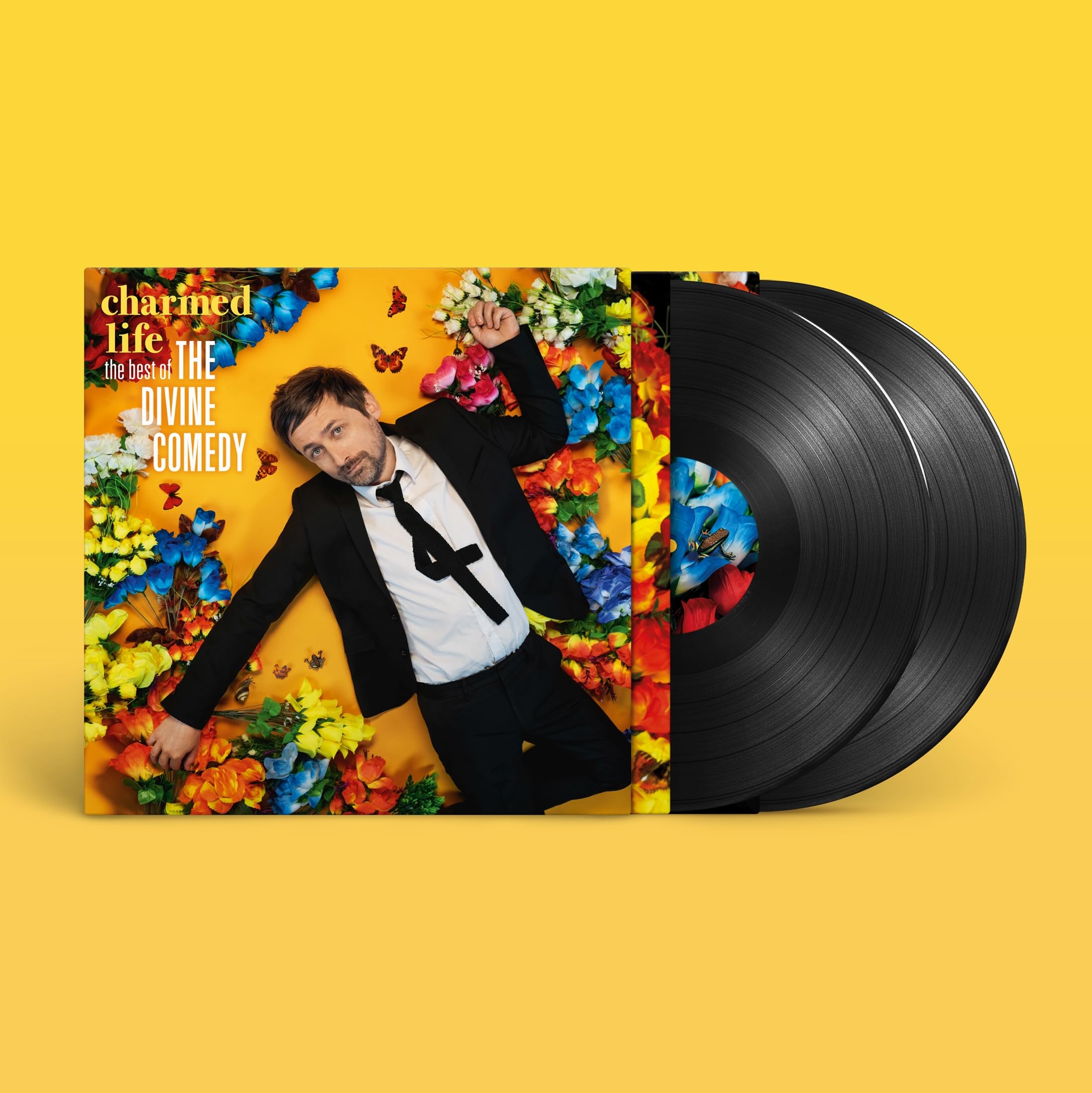 Charmed Life - the Best of the Divine Comedy Alternative & Indie