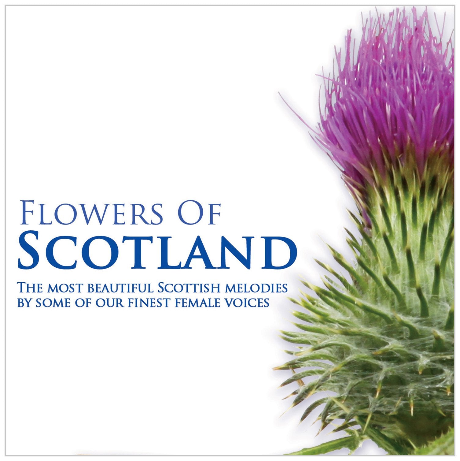 Flowers of Scotland cd