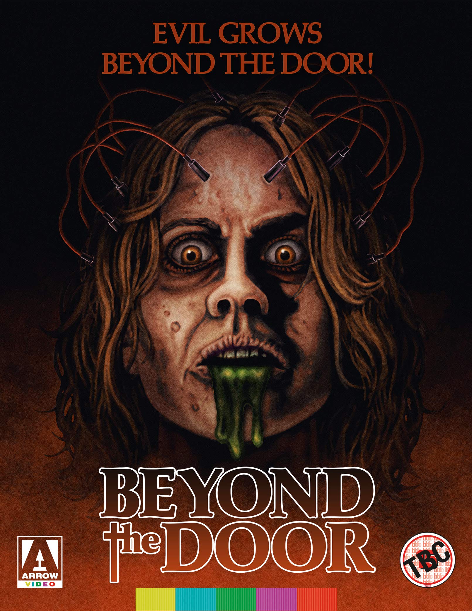 Beyond The Door dvd