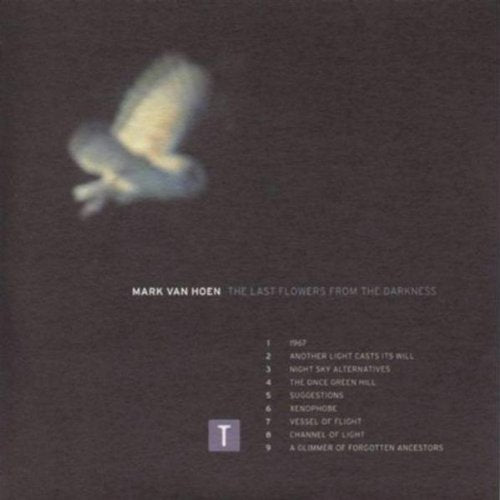 The Last Flowers from the Dark Dance & Electronic