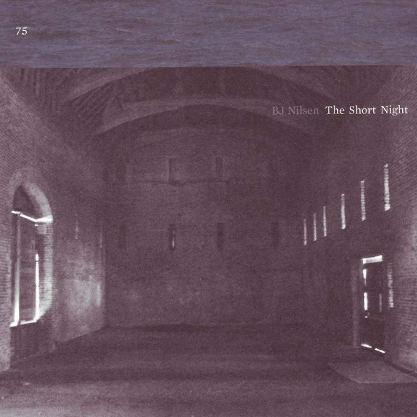 Product Image: The Short Night
