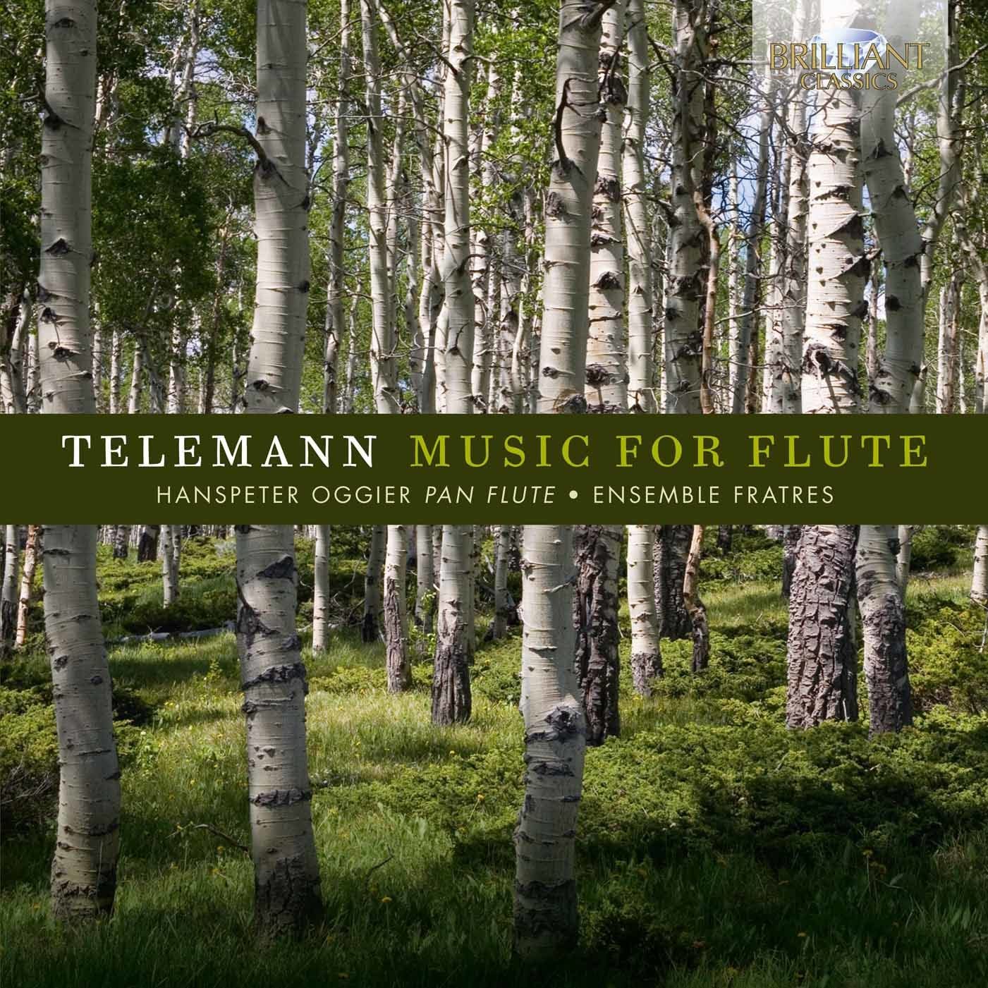 Music For Flute Classical