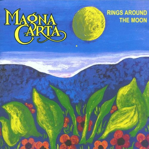 Rings Around the Moon Rock