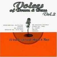 Voices of Drum & Bass 2 Dance & Electronic