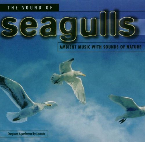 The Sound of Seagulls Pop