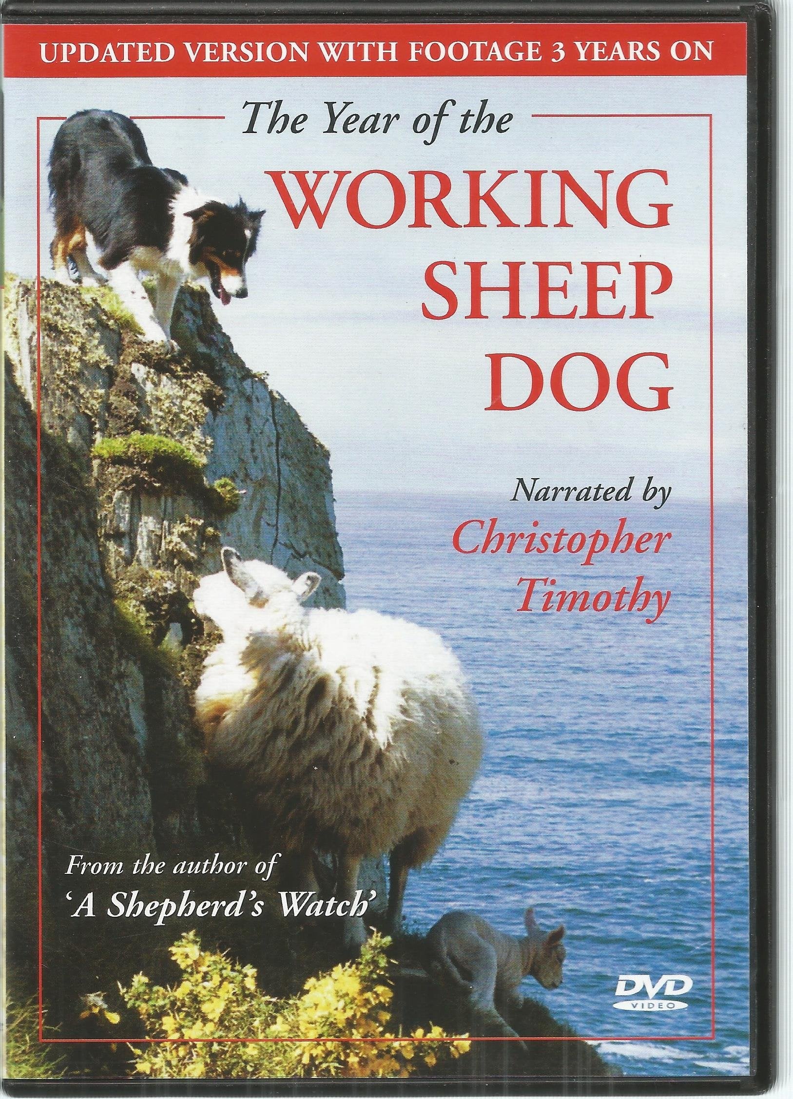 The Year of the Working Sheepdog Films