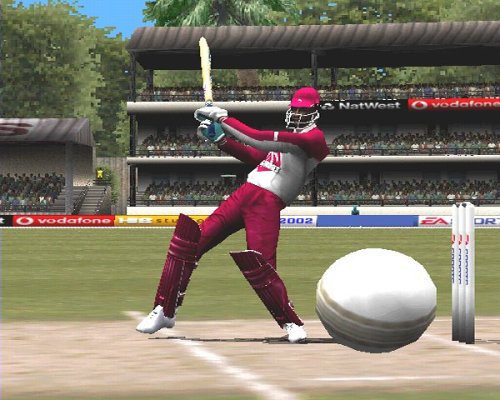Product Image: Cricket 2002 Classic