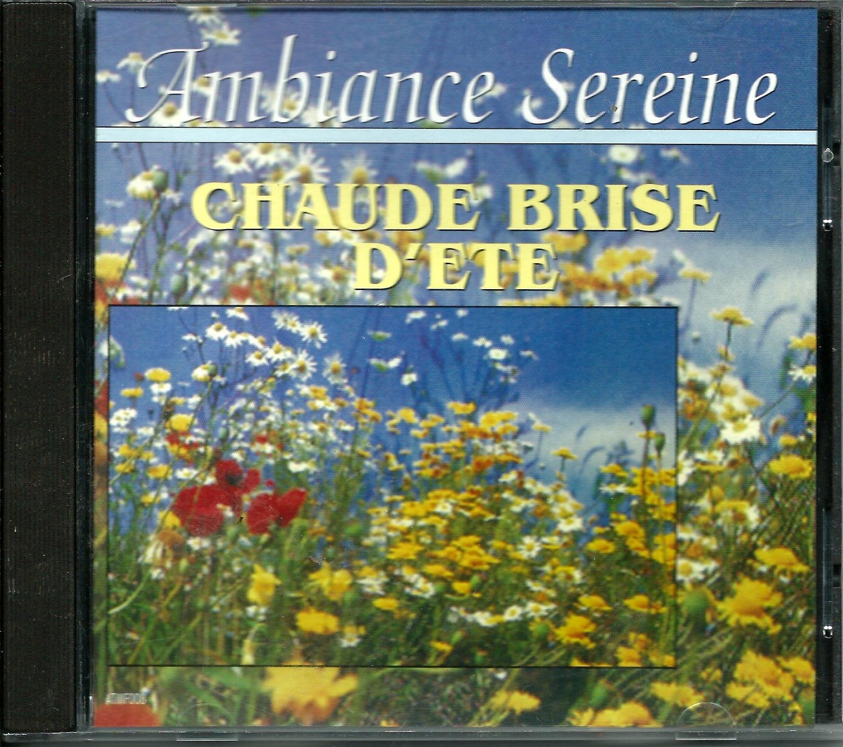 ambiance sereine : chaude brise d'étè Films