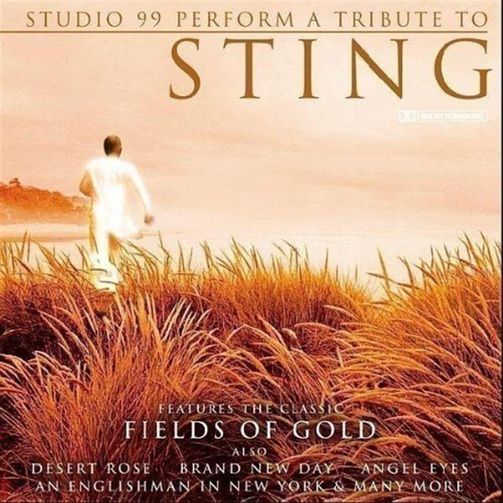 A Tribute to Sting Dance & Electronic