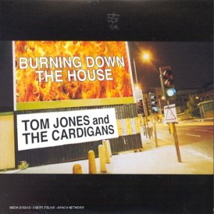 Product Image: Burning Down the House