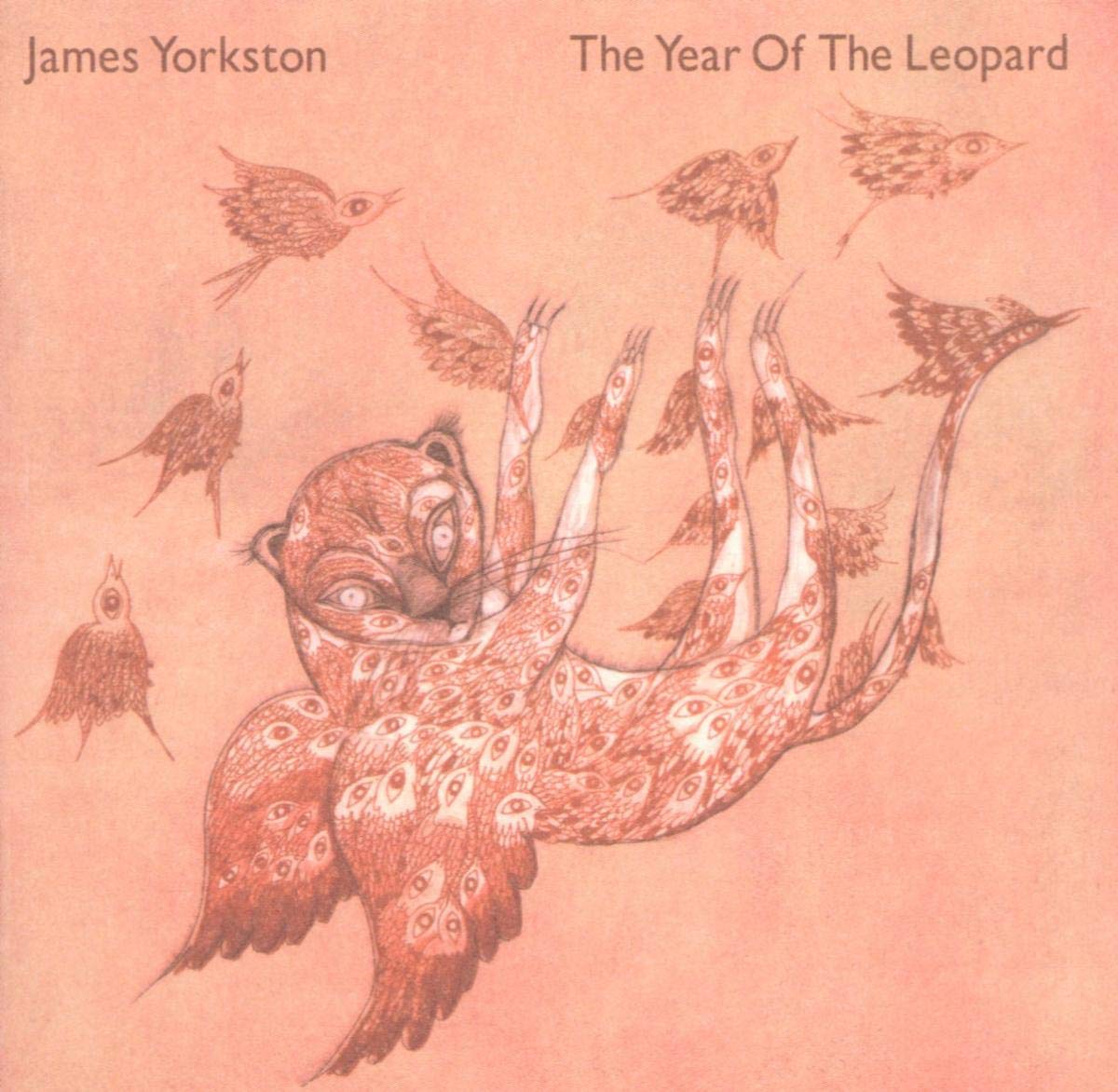 The Year of the Leopard Alternative & Indie