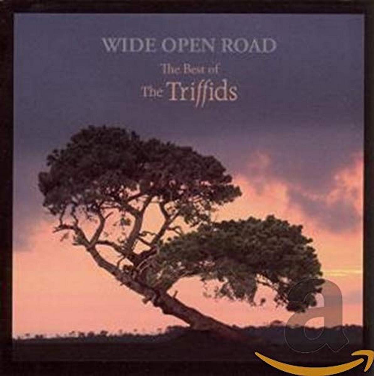 Wide Open Road:Best of Pop