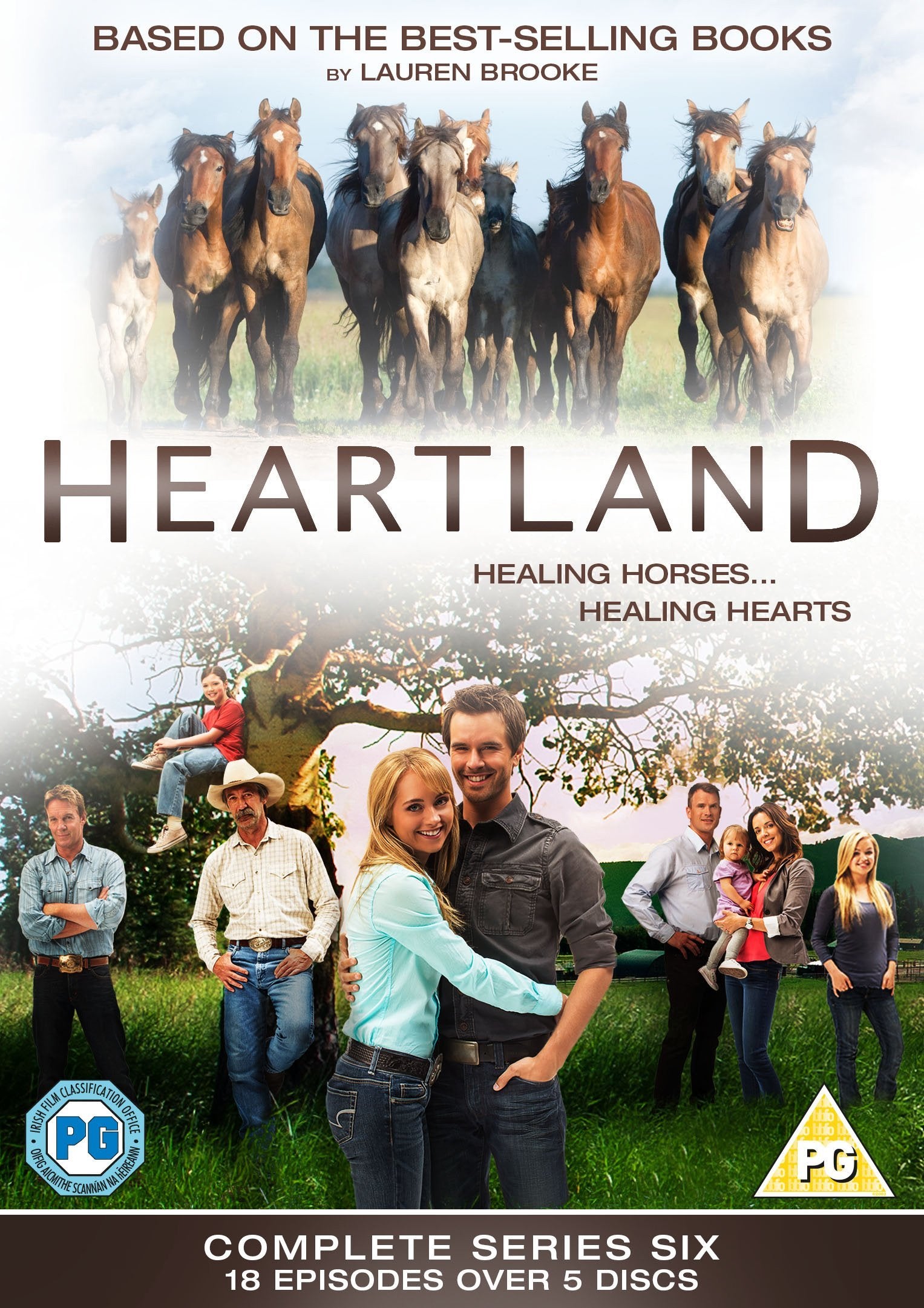 Heartland: The Complete Sixth Season Box sets