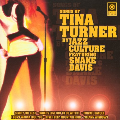 Songs of Tina Turner Pop