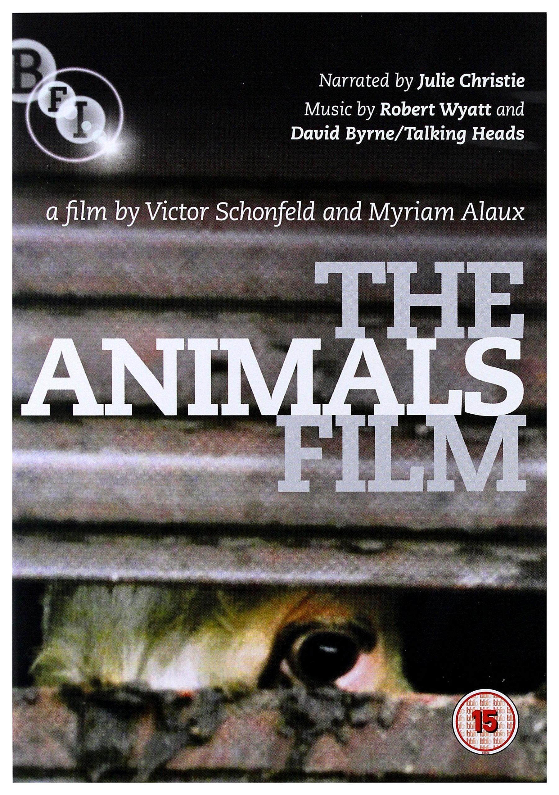 The Animals Film Films