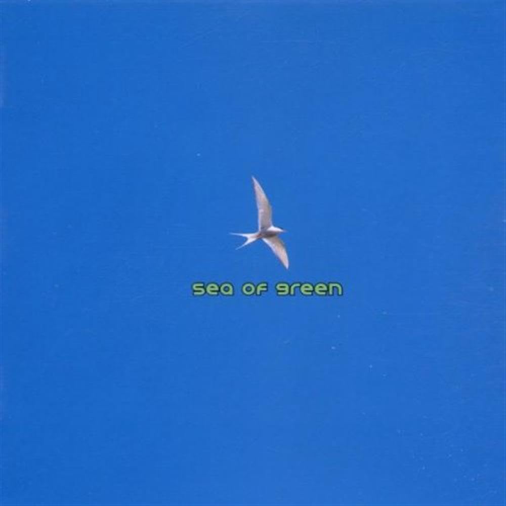 Time to Fly Dance & Electronic