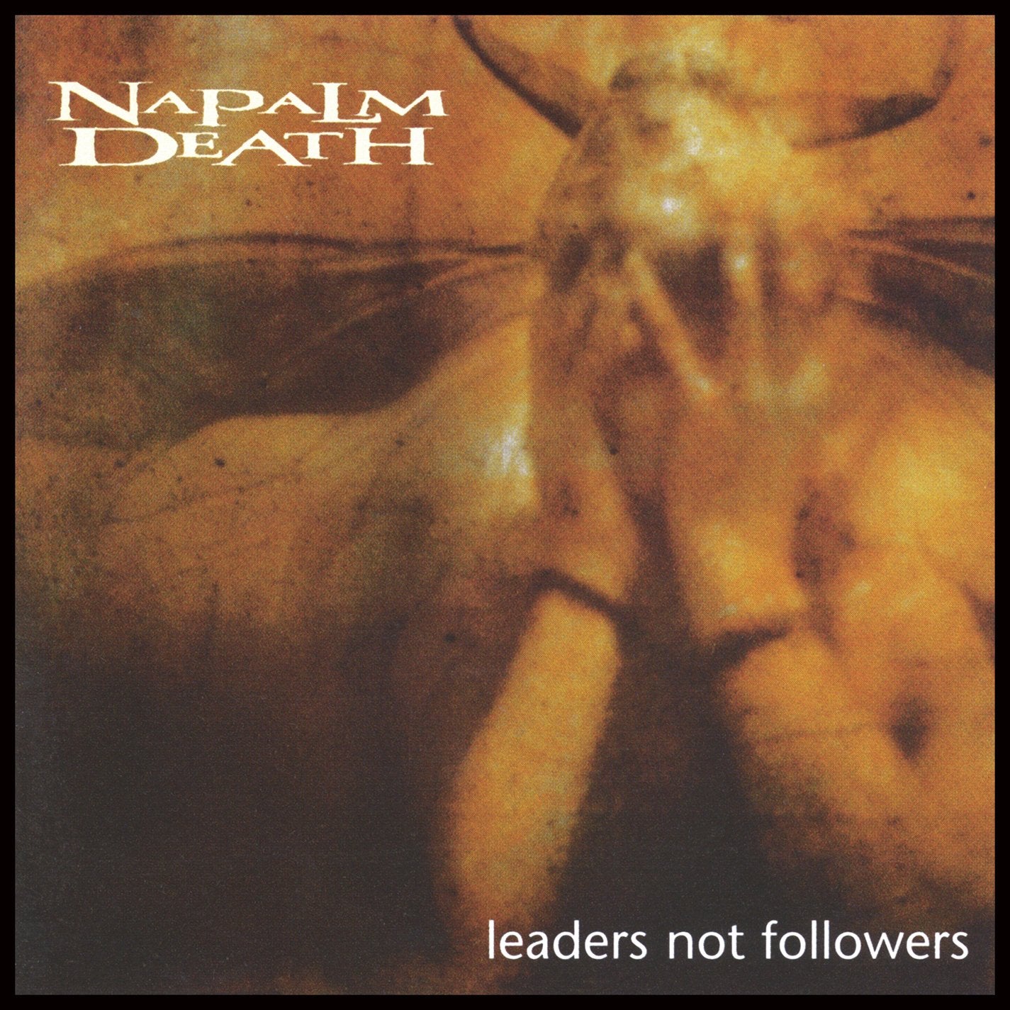 Leaders Not Followers (Red Vinyl) Metal & Hardrock