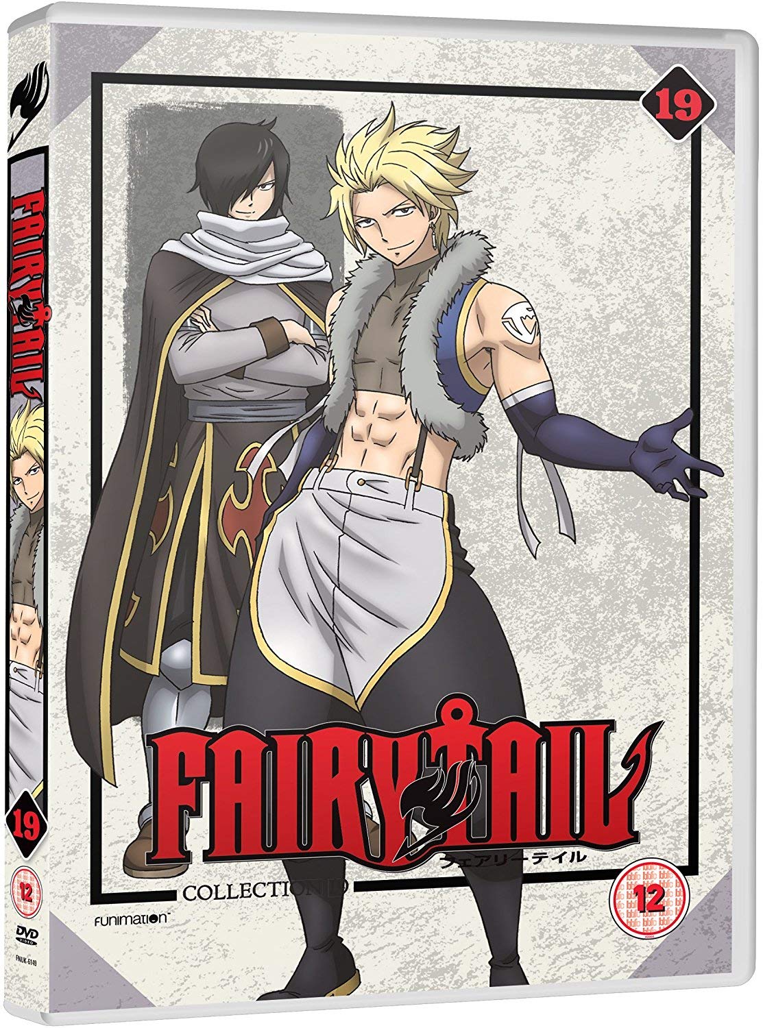 Fairy Tail-Part 19 dvd