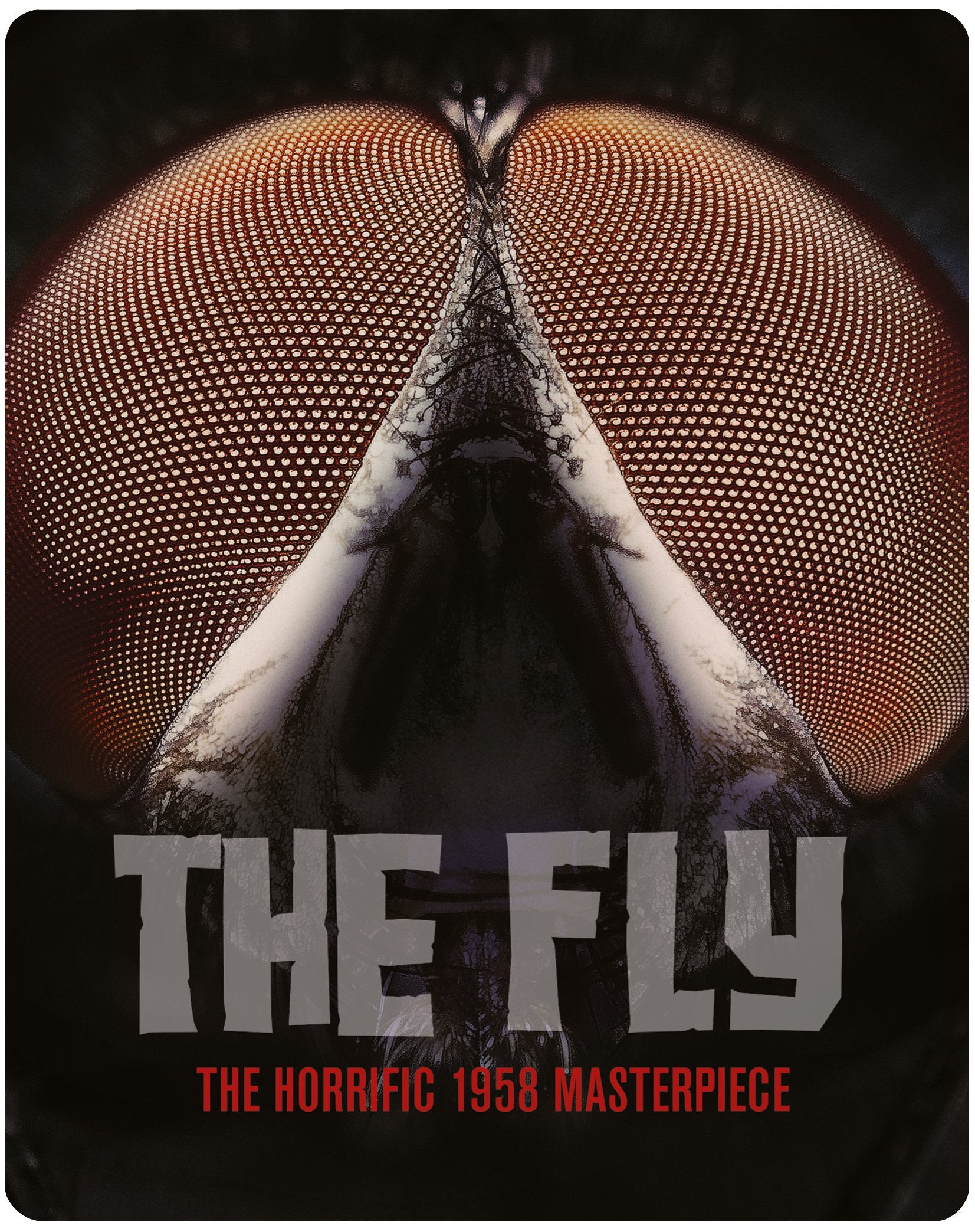 Die Fliege - The Fly (1958) Steelbook Blu-Ray (Limited Steelbook Edition aus UK mit deutscher Tonspur) Movies