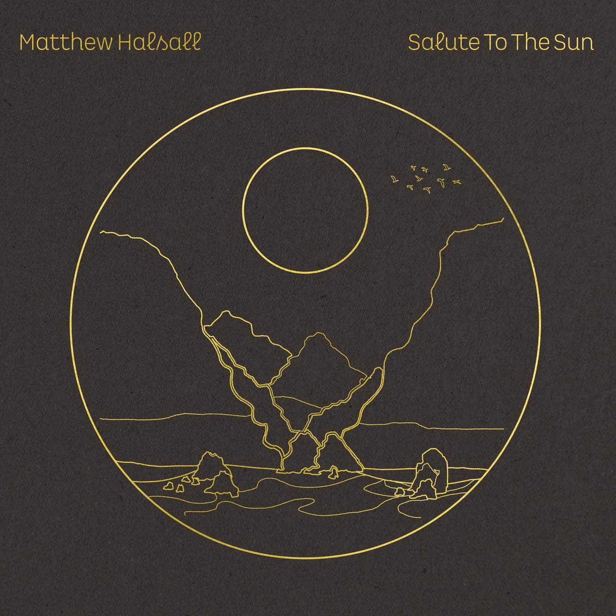 Salute to the Sun (2lp+Mp3) Rock