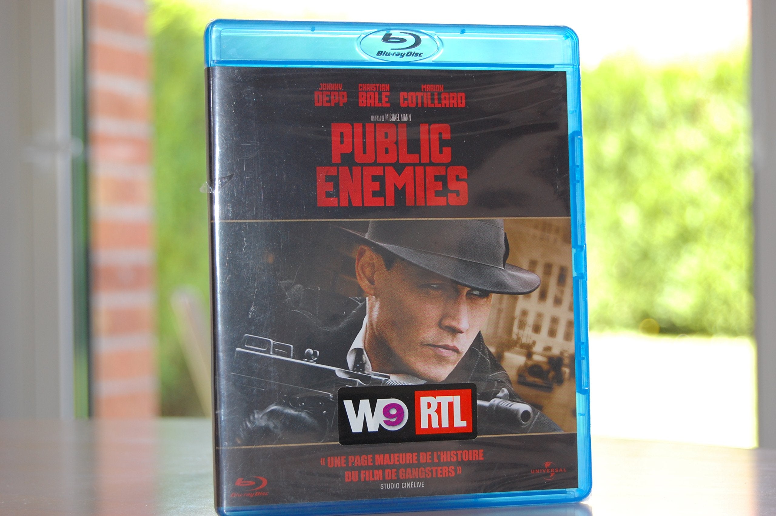 Public Enemies Movies