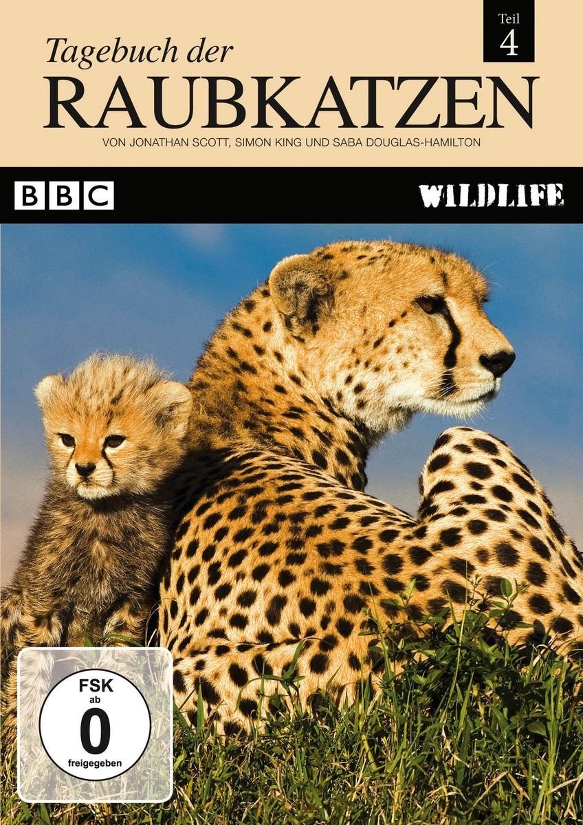 Tagebuch der Raubkatzen Teil 4 Box sets
