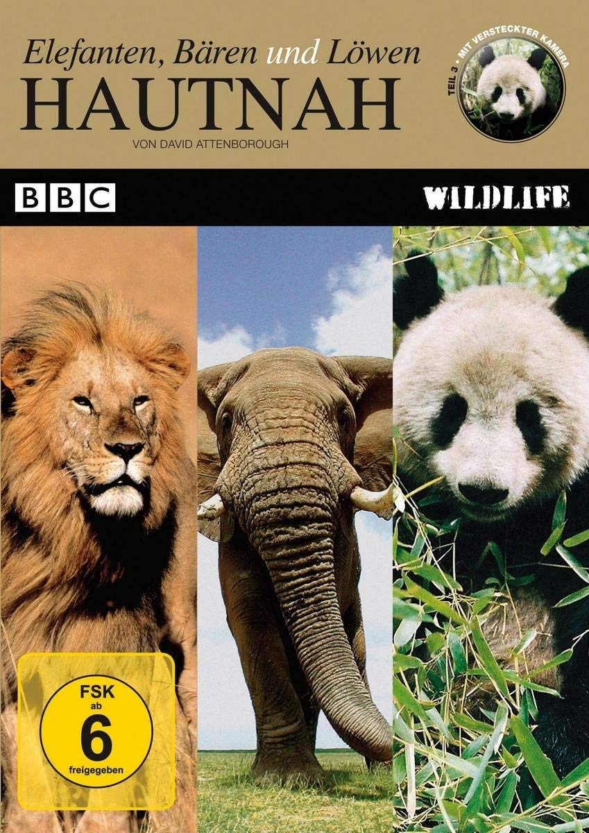 Hautnah - Elefanten, Bären und Löwen Box sets