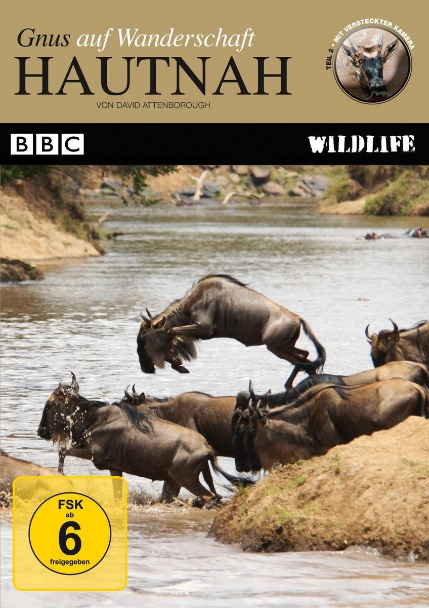 Hautnah - Gnus auf Wanderschaft Box sets