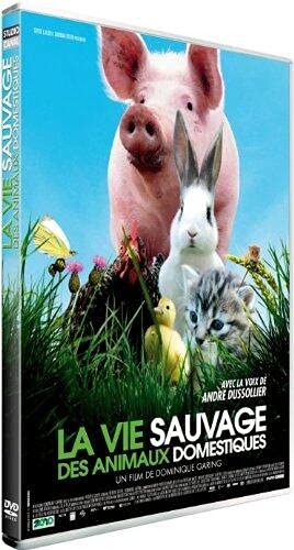 La vie sauvage des animaux domestiques Films