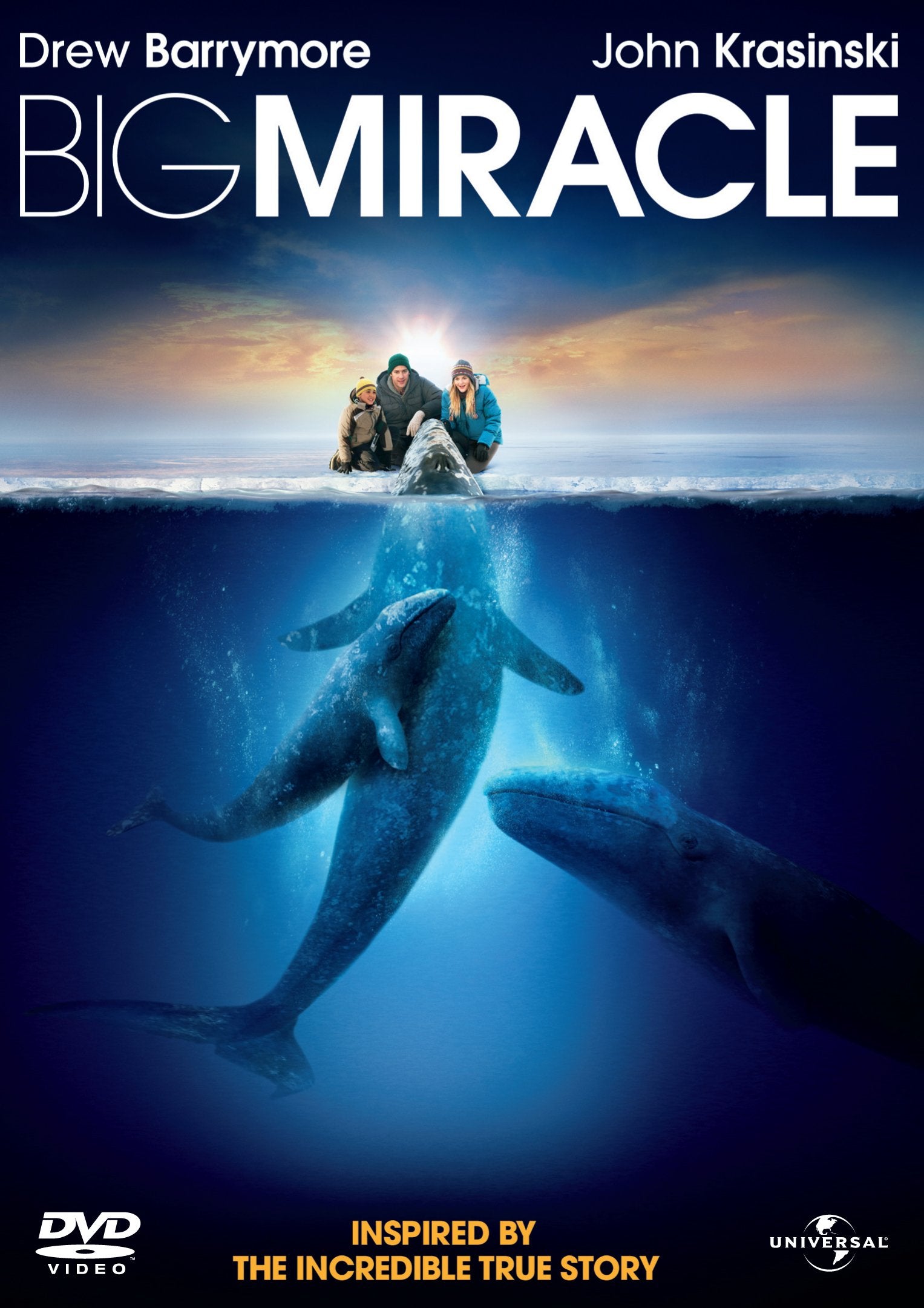 Big Miracle Movies