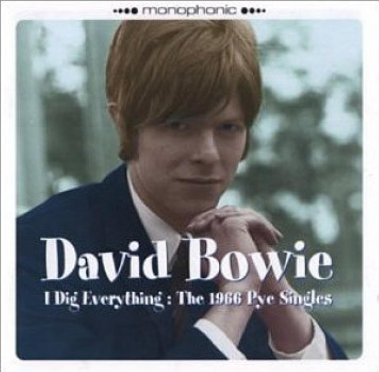 Product Image: I Dig Everything/the 1966 Pye Singles