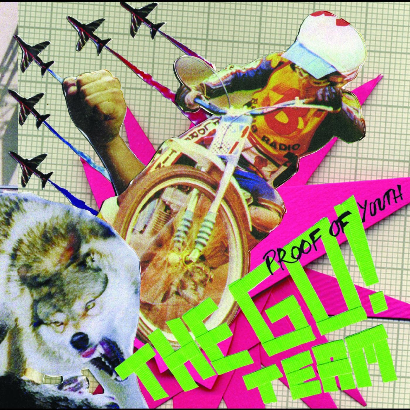 Go! Team - Proof Of Youth cd