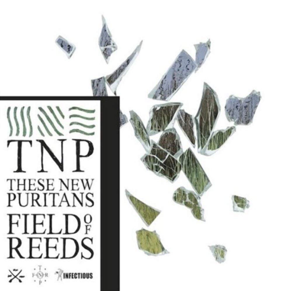 Product Image: Field Of Reeds